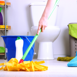 Cleaning Bathroom At Home