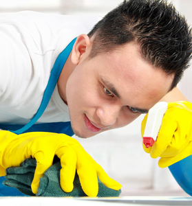 Cleaning Work In The House