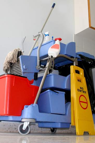 Cleaning Work In The House