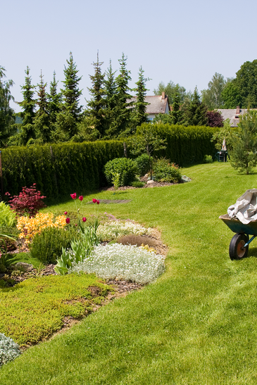 Gardener Caring Of Flowers Outdoor