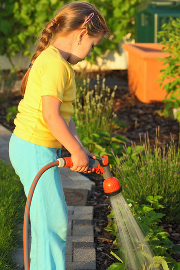 Gardener Caring Of Flowers Outdoor