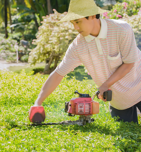 Lawnmower Equates Shrub In The Garden