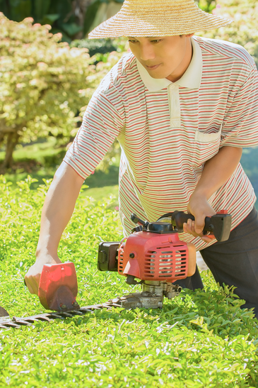 Lawnmower Equates Shrub In The Garden