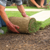 Laying Sod For New Lawn