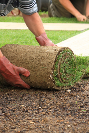 Laying Sod For New Lawn