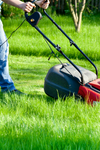 Man Mowing The Lawn