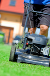 Man Mowing The Lawn