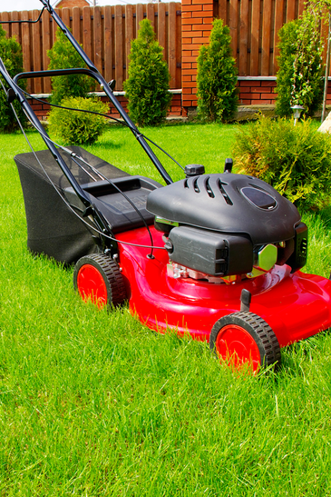 Man Mowing The Lawn
