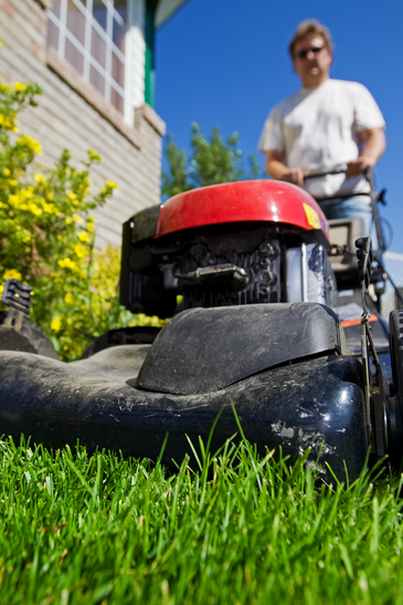 Man Mowing The Lawn